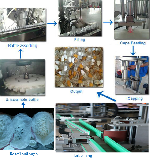 ბოთლის პროცესი.jpg