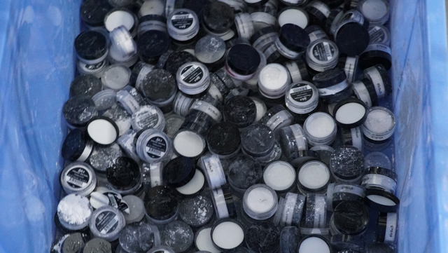 საბოლოო ნიმუშები.JPG